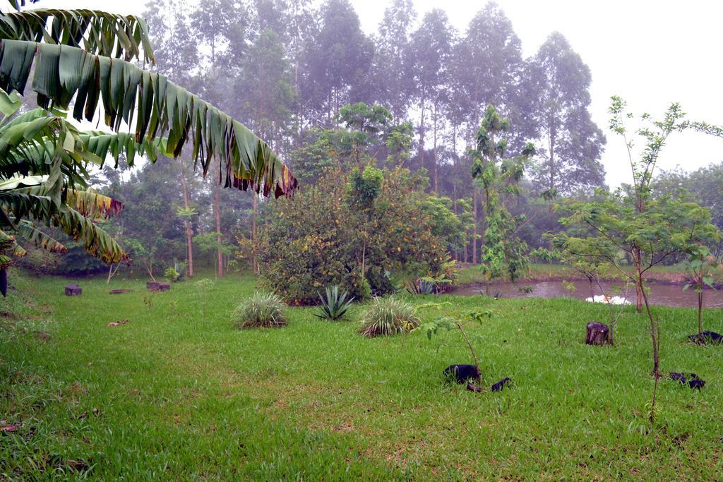 Pousada Guata Pora Foz do Iguacu Exterior photo